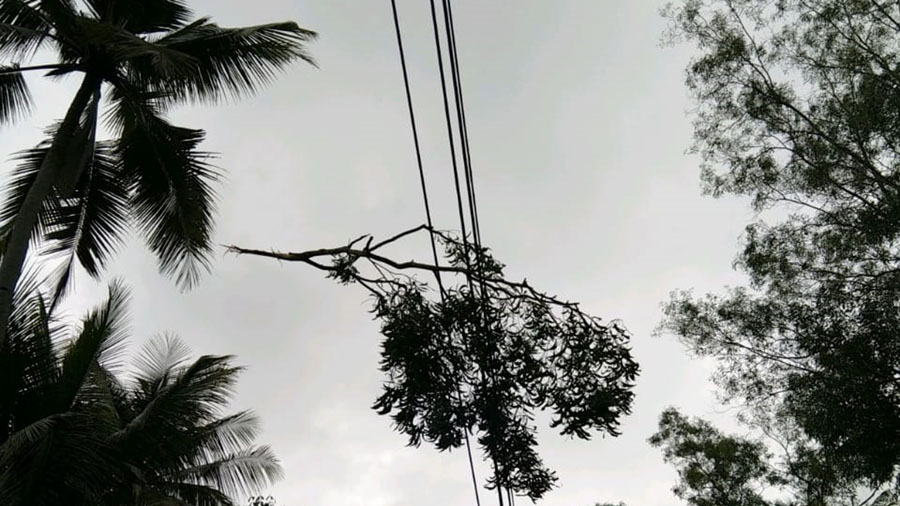 Pohon Tumbang Dan Tanah Longsor Picu Kerusakan Jaringan PLN - Kebumen ...